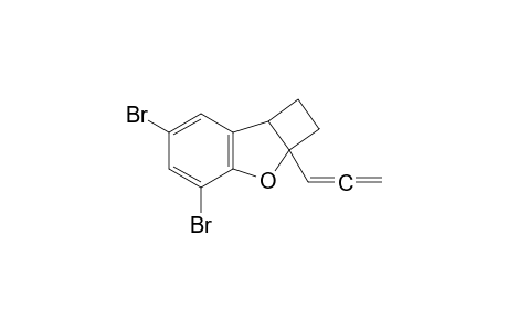 4,6-dibromo-2a-propa-1,2-dienyl-2,7b-dihydro-1H-cyclobuta[b]benzofuran