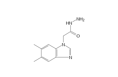 5,6-dimethyl-1-benzimidazoleacetic acid, hydrazide
