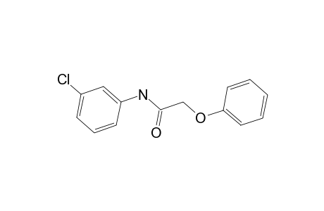 N-(3-chlorophenyl)-2-phenoxy-acetamide