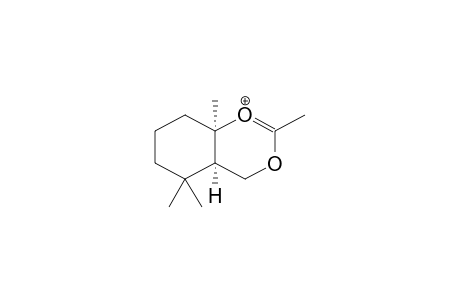 CIS-3,5,5,9-TETRAMETHYL-1,3-DIOXABICYCLO[4.4.0]DEC-1-ENONIUM CATION