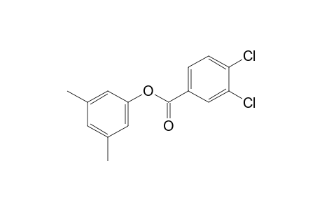 3,5-xylenol, 3,4-dichlorobenzoate