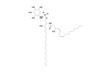 PI-Cer 18:0;2O/16:2;O