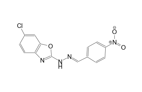 benzaldehyde, 4-nitro-, (6-chloro-2-benzoxazolyl)hydrazone