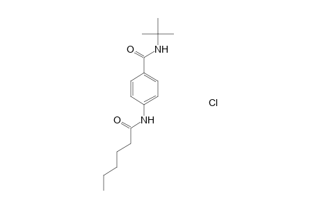 N-tert-butyl-4-hexanamidobenzamide hydrochloride