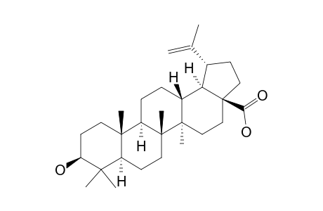 Betulinic acid