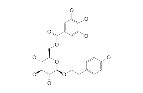 6'-O-GALLOYLSALIDROSIDE