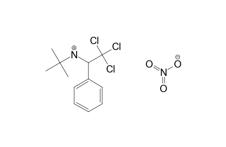 N-tert-BUTYL-alpha-(TRICHLOROMETHYL)BENZYLAMINE, NITRATE