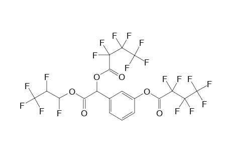 mHMA-PFnP-di-HFB