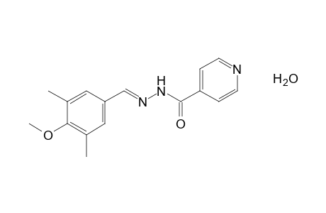 isonicotinic acid, (3,5-dimethyl-4-methoxybenzylidene)hydrazide, monohydrate