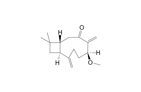 (1S,5S,9R)-5-METHOXYCARYOPHYLLA-2(15),6(14)-DIEN-7-ONE