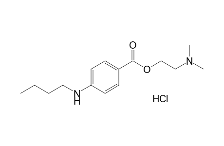 Tetracaine HCl