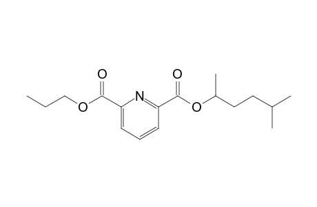 2,6-Pyridinedicarboxylic acid, 5-methylhex-2-yl propyl ester