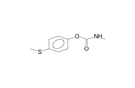 PARA-METHOXYTHIOPHENYL-N-METHYLCARBAMATE