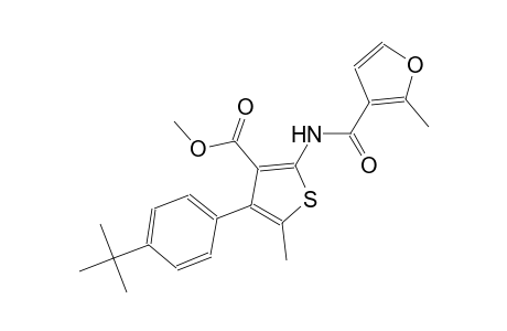 methyl 4-(4-tert-butylphenyl)-5-methyl-2-[(2-methyl-3-furoyl)amino]-3-thiophenecarboxylate
