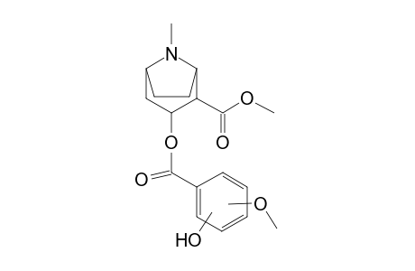 Cocaine-M (methoxy-HO-ring) MS2