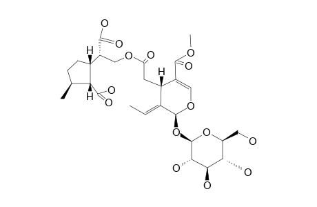 FRAMEROSIDE