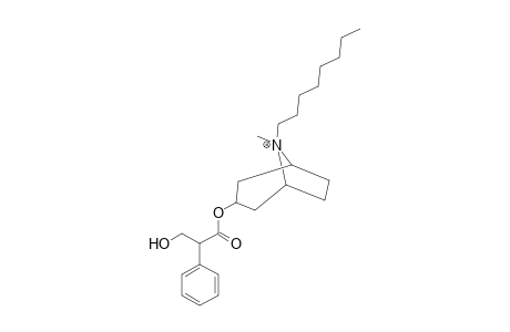 Octylatropine