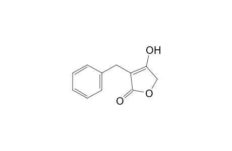 3-benzyl-4-hydroxy-2(5H)-furanone