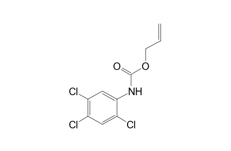 2,4,5-trichlorocarbanilic acid, allyl ester