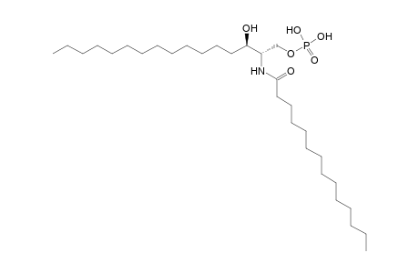 CerP 16:0;2O/14:0