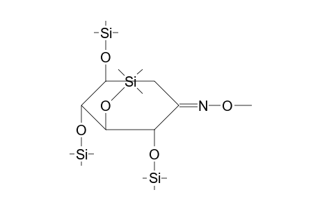 2,3,4,5-Tetrakis[(trimethylsilyl)oxy]cyclohexanone o-methyloxime