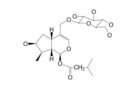 7,7-O-DIHYDROEBULOSIDE