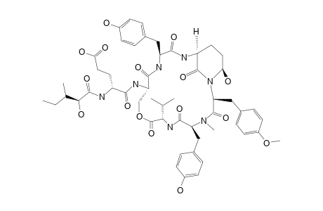 HOFMANNOLIN;HMV-2-HYDROXY-3-METHYL-VALERIC-ACID-AHP-3-AMINO-6-HYDROXY-2-OXO-1-PIPERIDINE-OMTYR-O-METHYL-TYR-NMTYR-N-METHYL-TYR