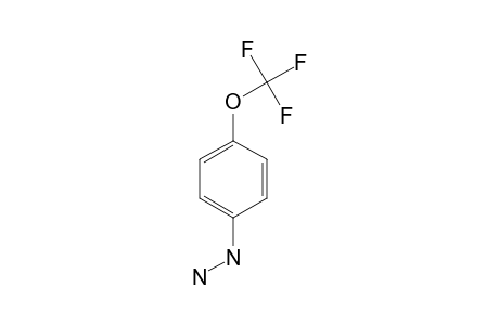 PARA-TRIFLUOROMETHOXY-PHENYLHYDRAZINE