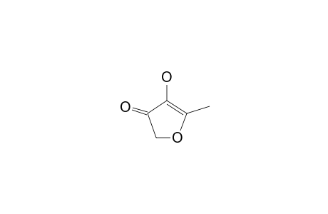 3(2H)-Furanone, 4-hydroxy-5-methyl-