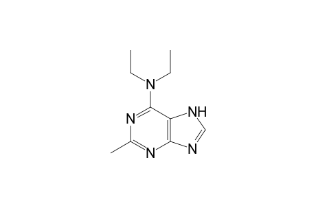 N,N-diethyl-2-methyladenine