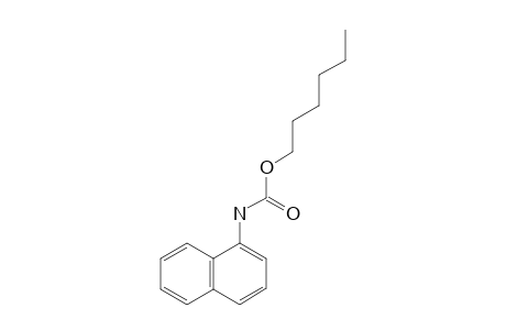 1-naphthalenecarbamic acid, hexyl ester