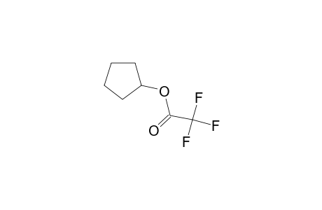 Cyclopentyl trifluoroacetate