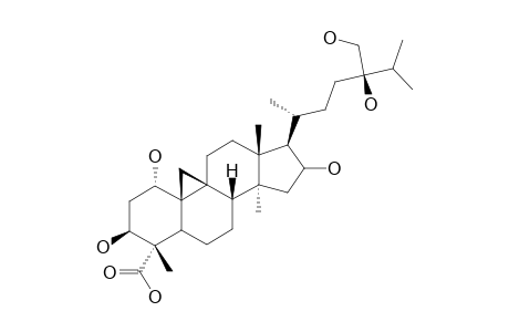 CYCLOPASSIFLOIC-ACID-G