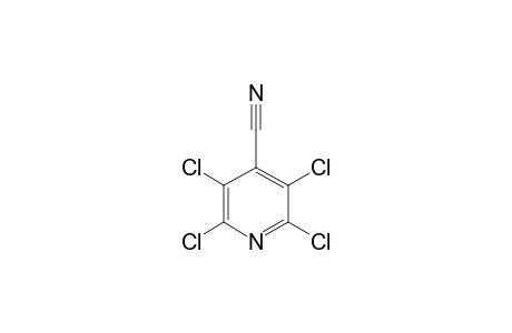 2,3,5,6-Tetrachloroisonicotinonitrile