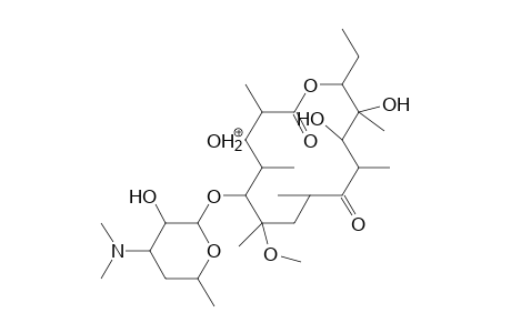 Clarithromycin MS3_1