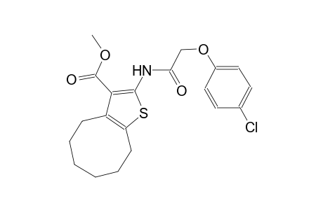 methyl 2-{[(4-chlorophenoxy)acetyl]amino}-4,5,6,7,8,9-hexahydrocycloocta[b]thiophene-3-carboxylate