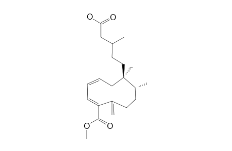 SCHISTOCHILIC ACID A