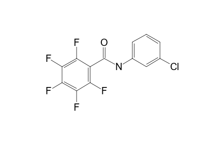 Benzamide, N-(3-chlorophenyl)-2,3,4,5,6-pentafluoro-