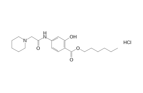 4-(2-piperidinoacetamido)salicylic acid, hexyl ester, hydrochloride