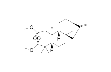 Excoecarin V2 Methyl Ester