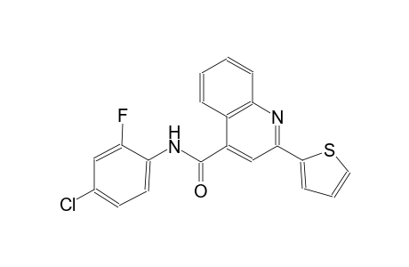 N-(4-chloro-2-fluorophenyl)-2-(2-thienyl)-4-quinolinecarboxamide