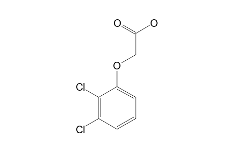 2,3-Dichlorophenoxyacetic acid