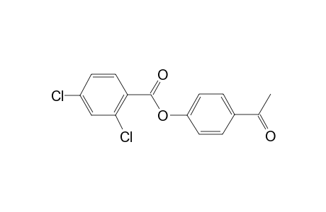 4-Acetylphenyl 2,4-dichlorobenzoate