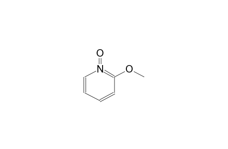 2-Methoxy-pyridine-N-oxide