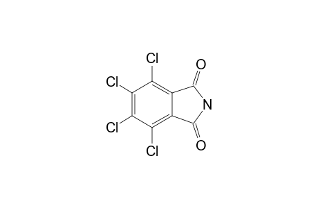 3,4,5,6-Tetrachlorophthalimide