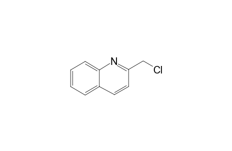 Quinoline, 2-(chloromethyl)-