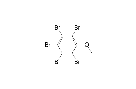 Benzene, pentabromomethoxy-