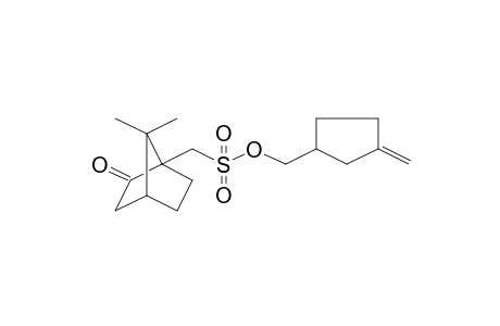 Camphor-10-sulfonic acid, (3-methylenecyclopentyl)methyl ester