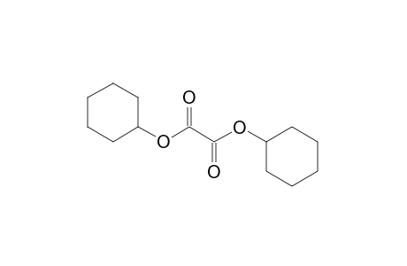 Oxalic acid, dicyclohexyl ester