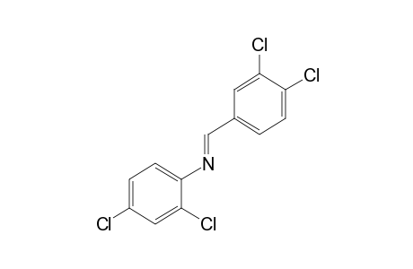 2,4-dichloro-N-(3,4-dichlorobenzylidene)aniline